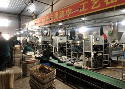 牡丹江市村集体招商项目第1期 聚焦教育领域，打造乡村发展新引擎